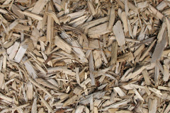 biomass boilers Sageston