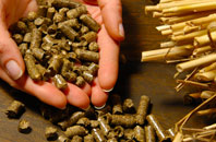 free Sageston biomass boiler quotes